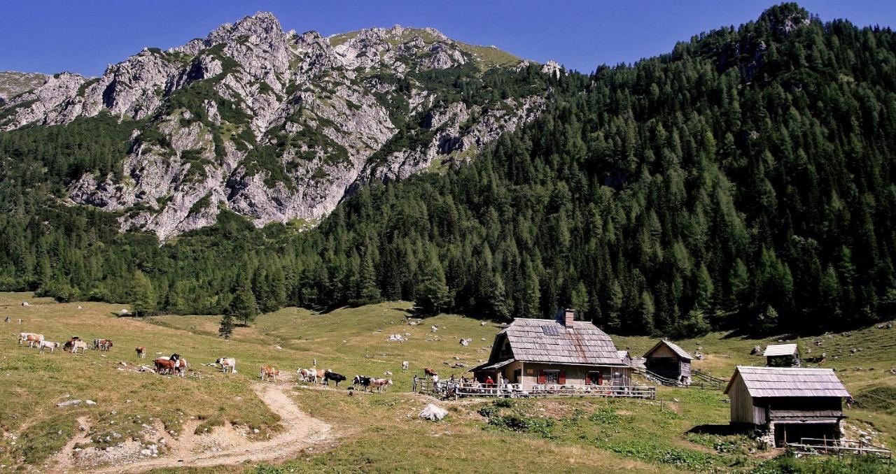 Apartmaji Alpski Cvet - Hisa Gorenc Bohinj Ngoại thất bức ảnh
