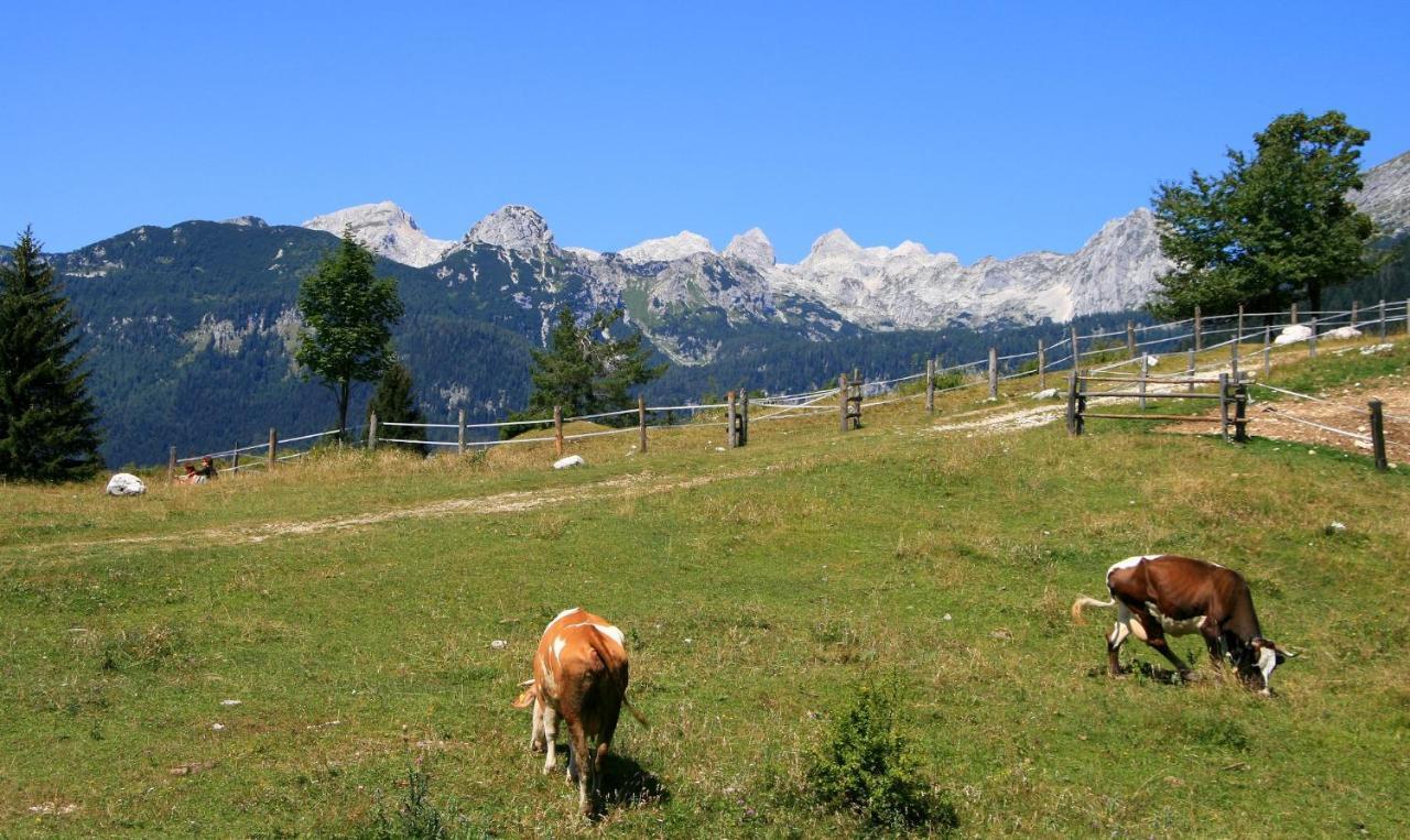 Apartmaji Alpski Cvet - Hisa Gorenc Bohinj Ngoại thất bức ảnh